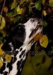 55 Farbenspiel
